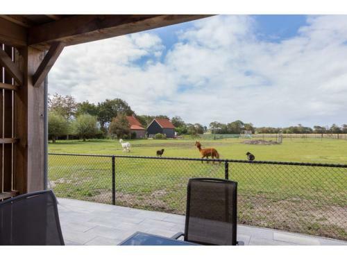 Wonderfully Quietly Situated In The Polder, Close To The Beach