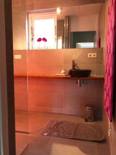 de Lindenburg With Hot Tub & Sauna