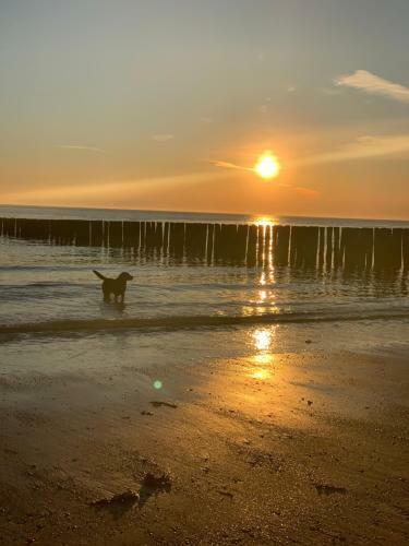 Zomerwoning Mariekerke