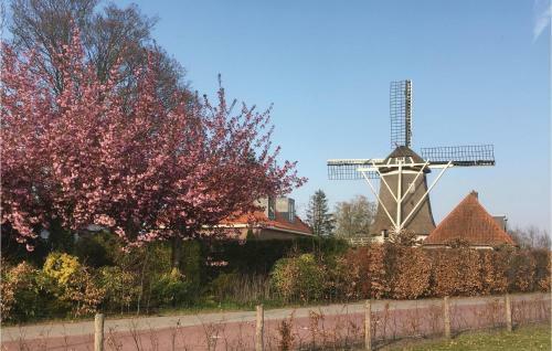 Houtduif