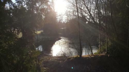 Reewold Veluwe