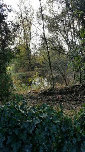 Reewold Veluwe