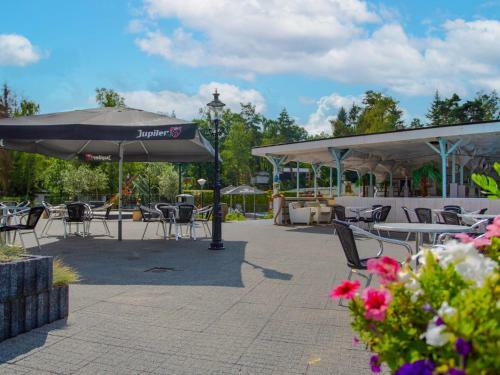 Holiday Home de Thijmse Berg-15