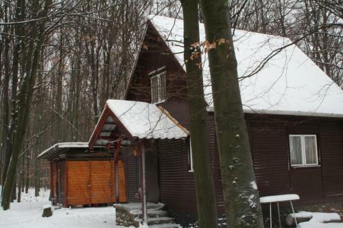 Lodge Dar�zshegyi Apartmanh�z