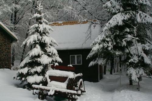 Lodge Dar�zshegyi Apartmanh�z