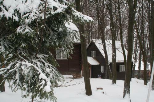 Lodge Dar�zshegyi Apartmanh�z