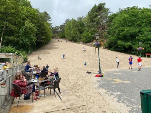 Relaxing Holiday Home In Schoorl Near Dunes