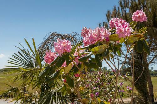 Vakantiepark Fort Den Haak