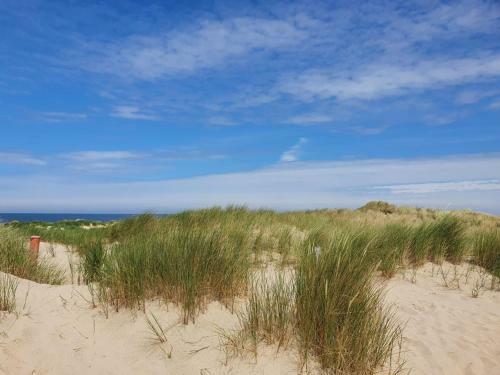 Camping De Zandput - 373