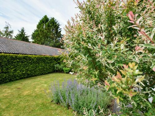 Spacious Chalet In Wolfheze With Garden