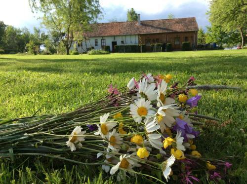 Hostal Cseri Porta