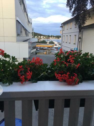 Hostal Holsthuset Losji