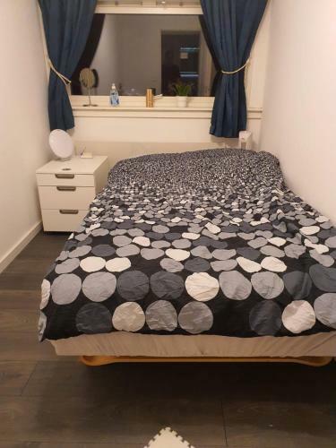 Oslo Shared Apartment