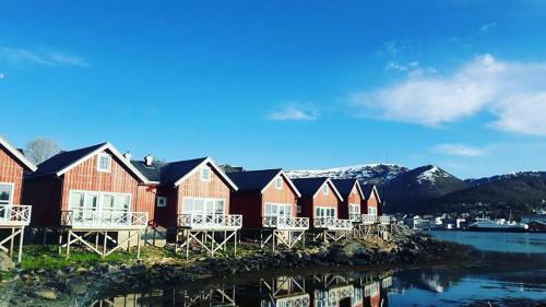 Norway Cabins And Camping Glamping