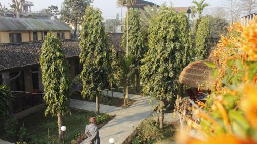 Hotel Travellers Jungle Camp