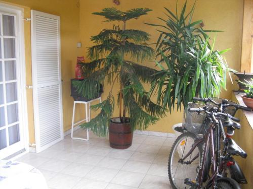 Apartamento Forr�s-g Vend�gh�z