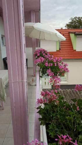 Hostal Pension �v�ri