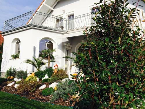 Bed & Breakfast Judit Vend�gh�z