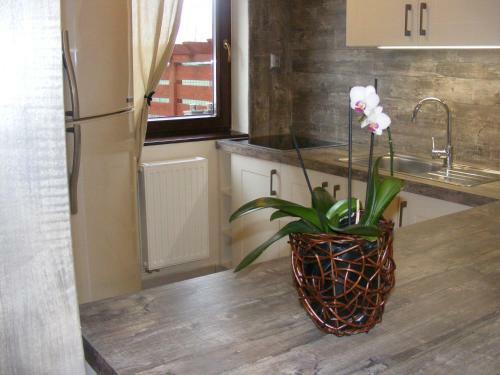 Apartman Ereli