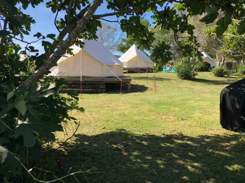 Kai Iwi Lakes Resort