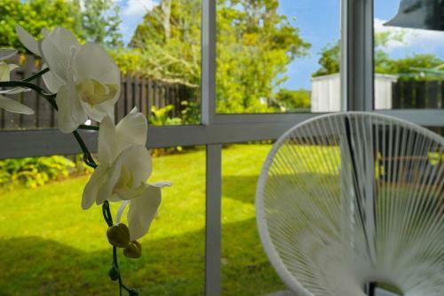 Archie's Beach Bach - Orewa Holiday Home