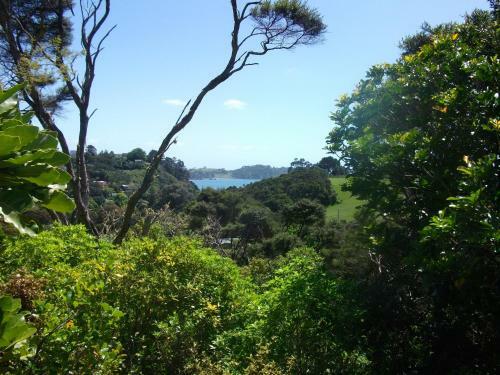 Bush Beach Delight - Onetangi Holiday Home
