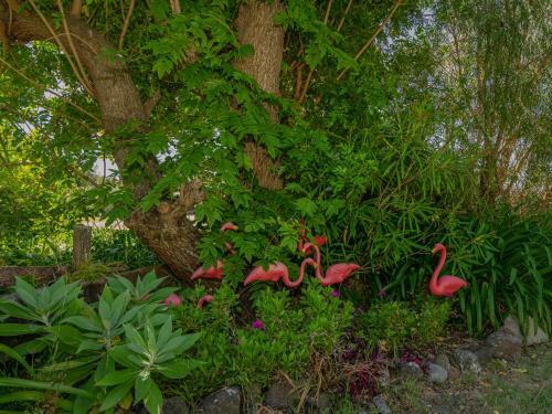 Once Upon A Tide - Pauanui Holiday Home
