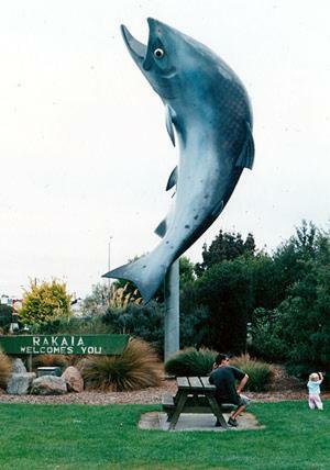 South Rakaia Hotel