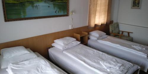 Hostal Korona Panzio