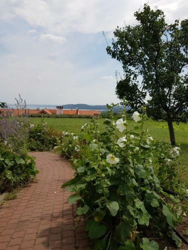 Hostal Koczor Winery & Guesthouse