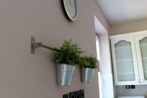 Apartamento R�zsah�z