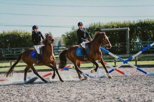 Bed & Breakfast Unique Equestrian Lifestyle