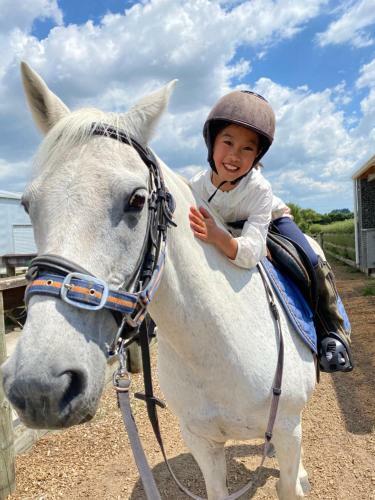 Bed & Breakfast Unique Equestrian Lifestyle