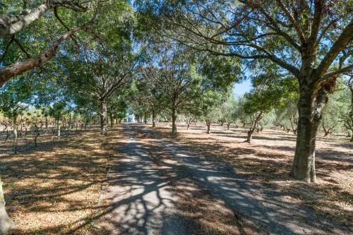 Olive Estate - Martinborough Holiday Home