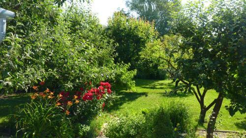 Hostal Dorka Vend�gh�z