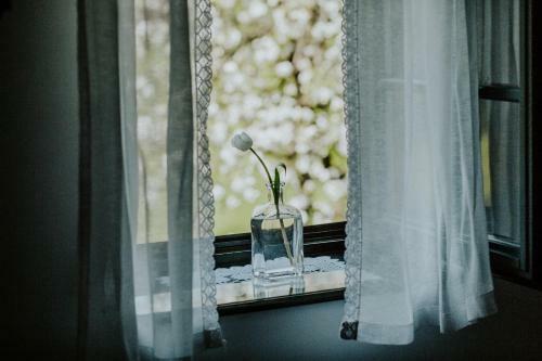 Bed & Breakfast Kosbor Panzi� St�lusos Vid�ki Sz�lloda