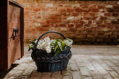 Bed & Breakfast Kosbor Panzi� St�lusos Vid�ki Sz�lloda