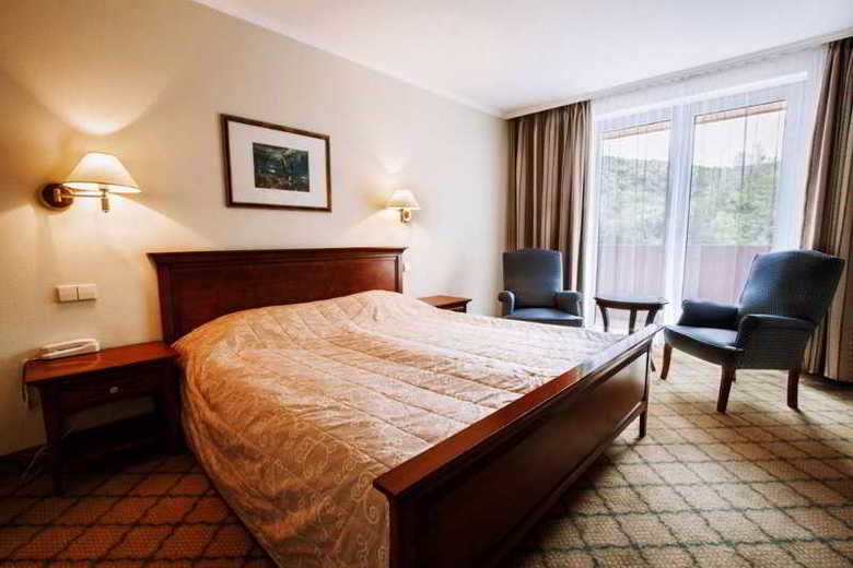 Thermal Hotel Visegrad