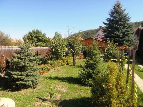 Marcsi Apartmanh�z