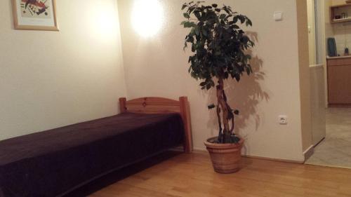 Hostal Part Cafe Panzi�