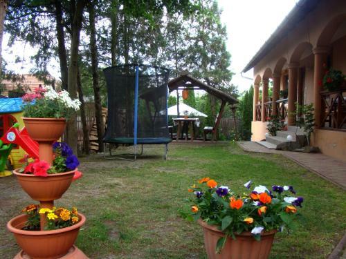 Hostal T�mea Vend�gh�z