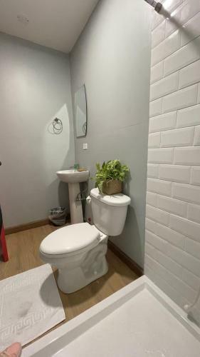 Apartamento Nomada Container Hotel Panama City