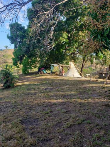 Pedas� Natu?rio Camp
