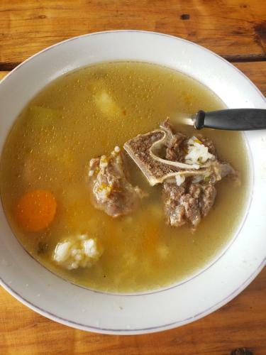 Pedas� Natu?rio Camp