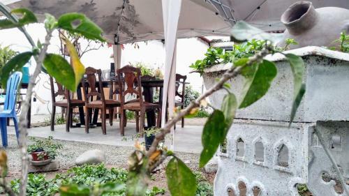 Bed & Breakfast Samanai Wasi