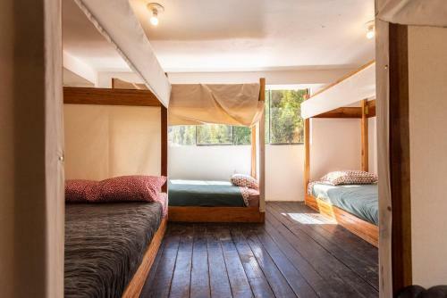 Albergue Wolf Totem Boho-chic Backpacker