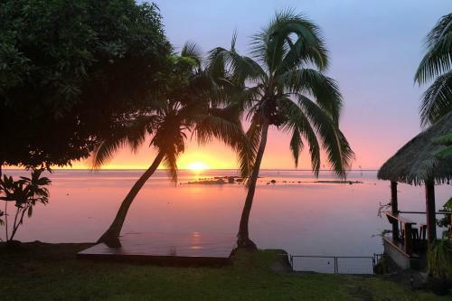 Far� Mokalei