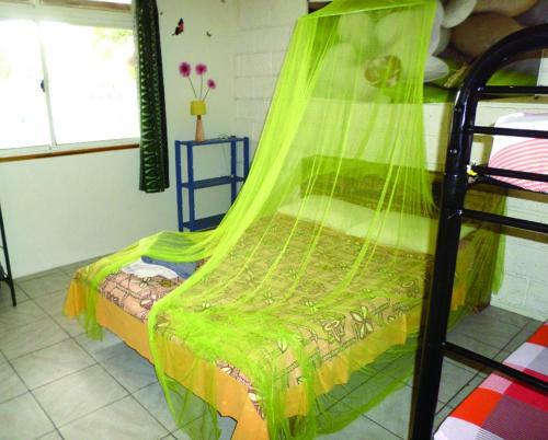 Hostal Pension Te Miti