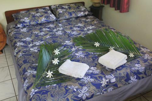 Hostal Pension Te Miti