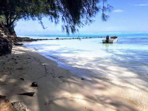 Moorea - Local Spirit Iti 2
